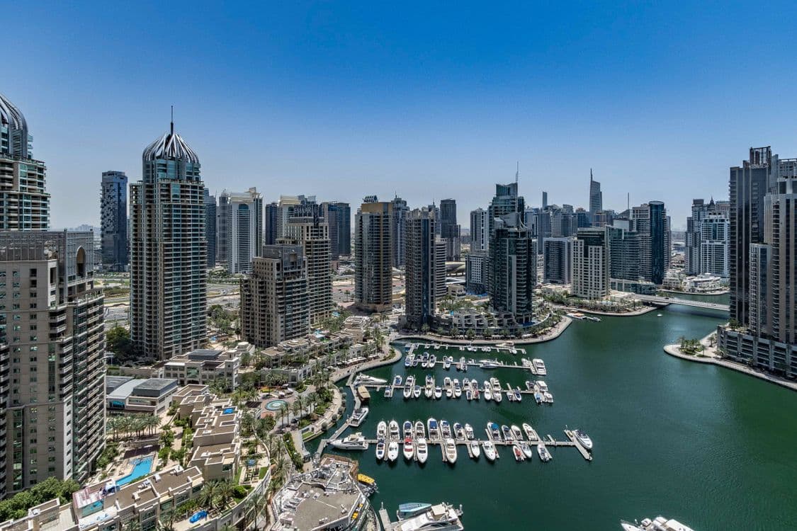 Marina Vista Luxe